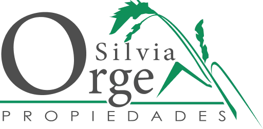 Silvia Orge Propiedades